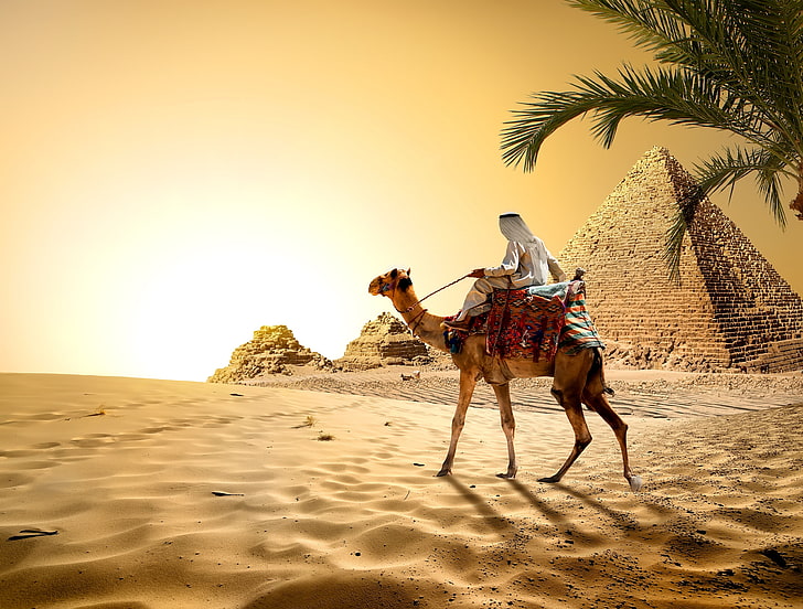 Ethiopian professional in a desert landscape